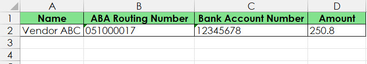 Image of file showing the minimal required fields: Name, ABA Routing Number, Bank Account Number, and Amount.